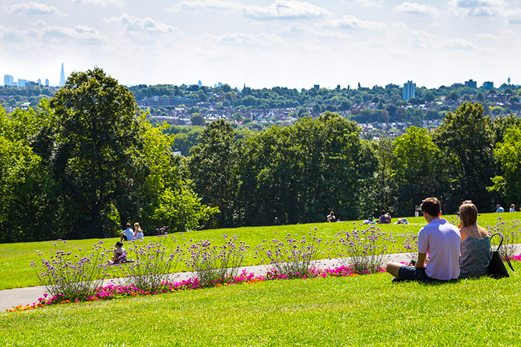 Hornsey Town Hall - Parks